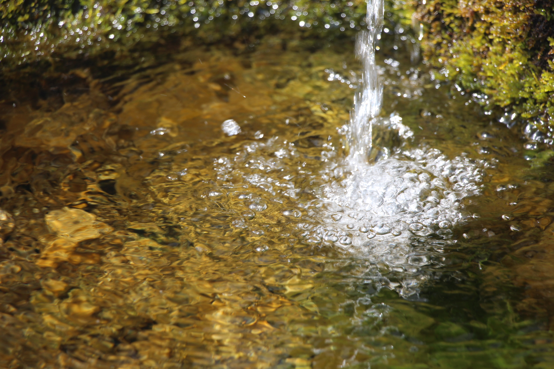 津南の水